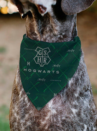 Bandana para mascota Harry Potter Malfoy