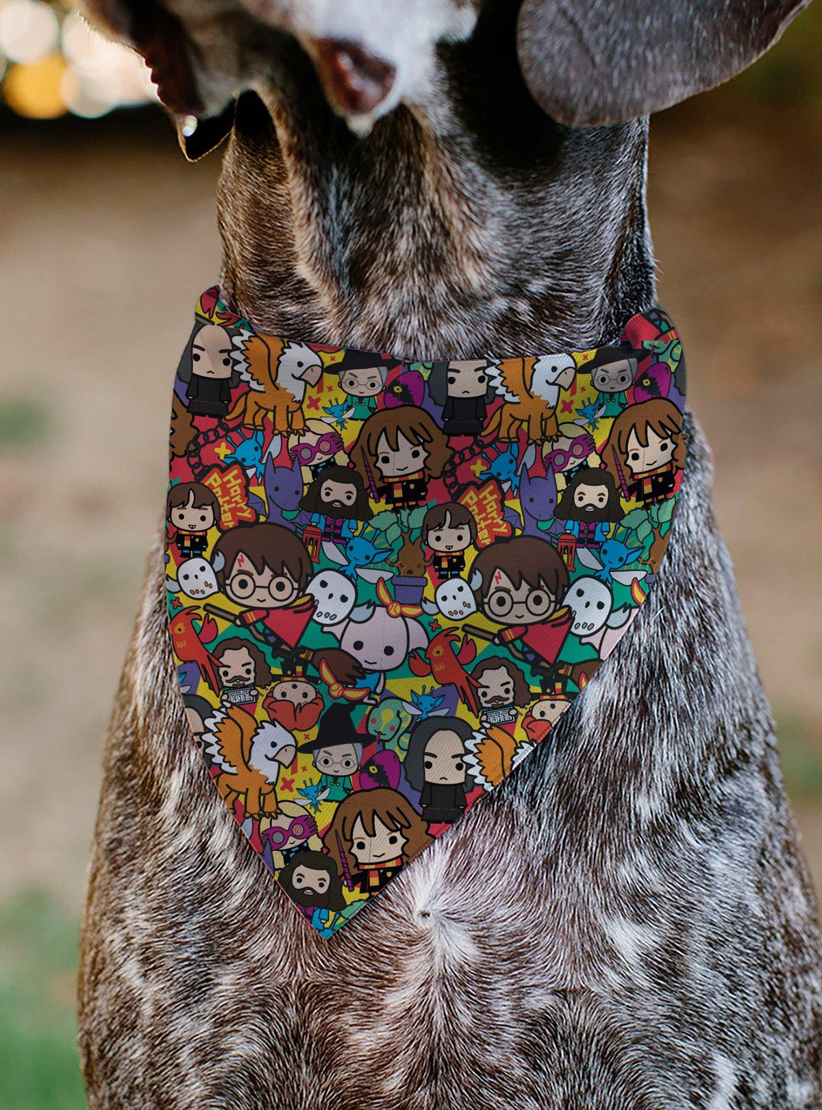 Bandana Harry Potter de personajes chibi para mascotas