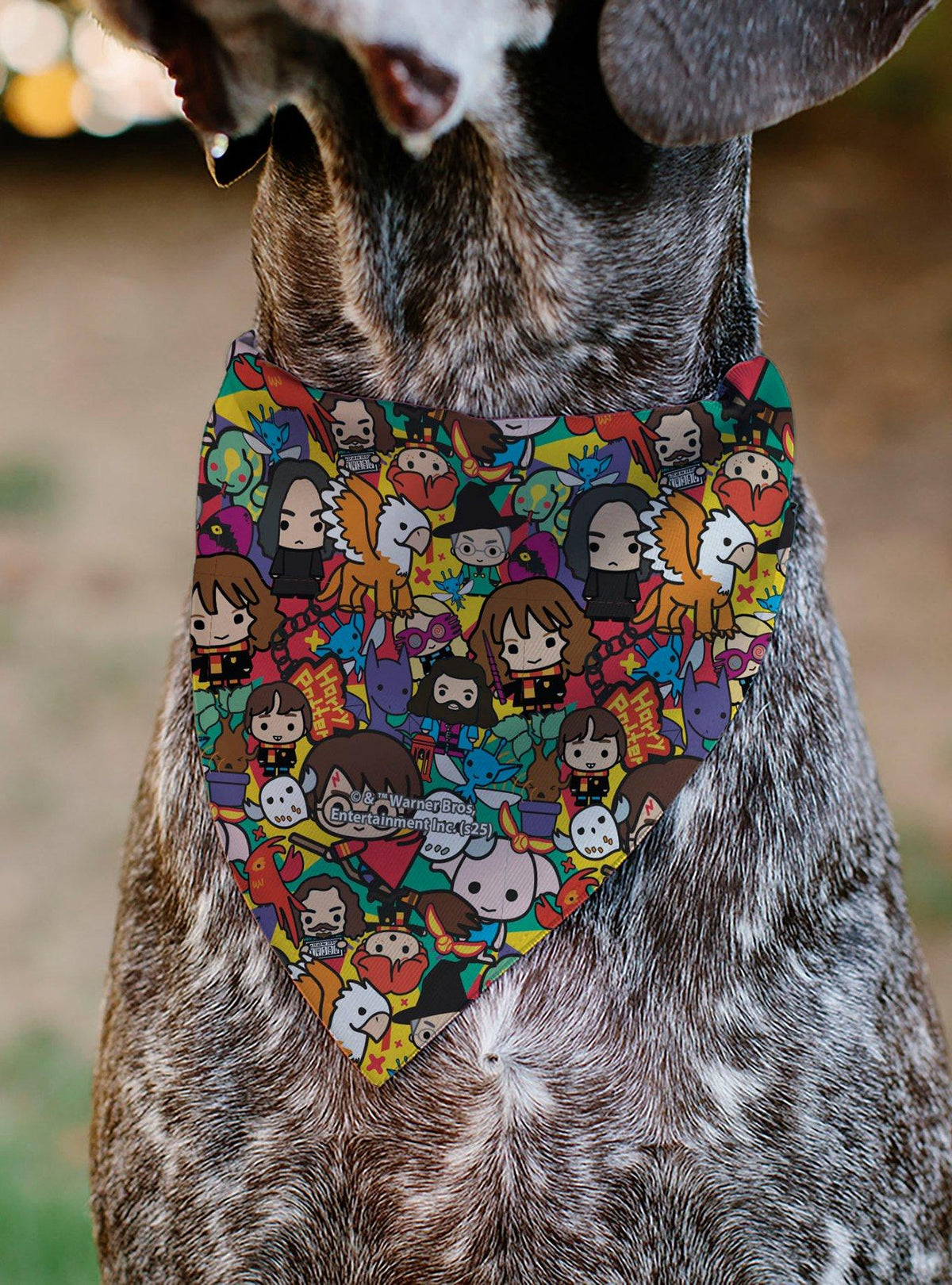 Bandana Harry Potter de personajes chibi para mascotas