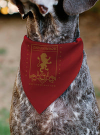 Bandana para mascota Harry Potter Gryffindor
