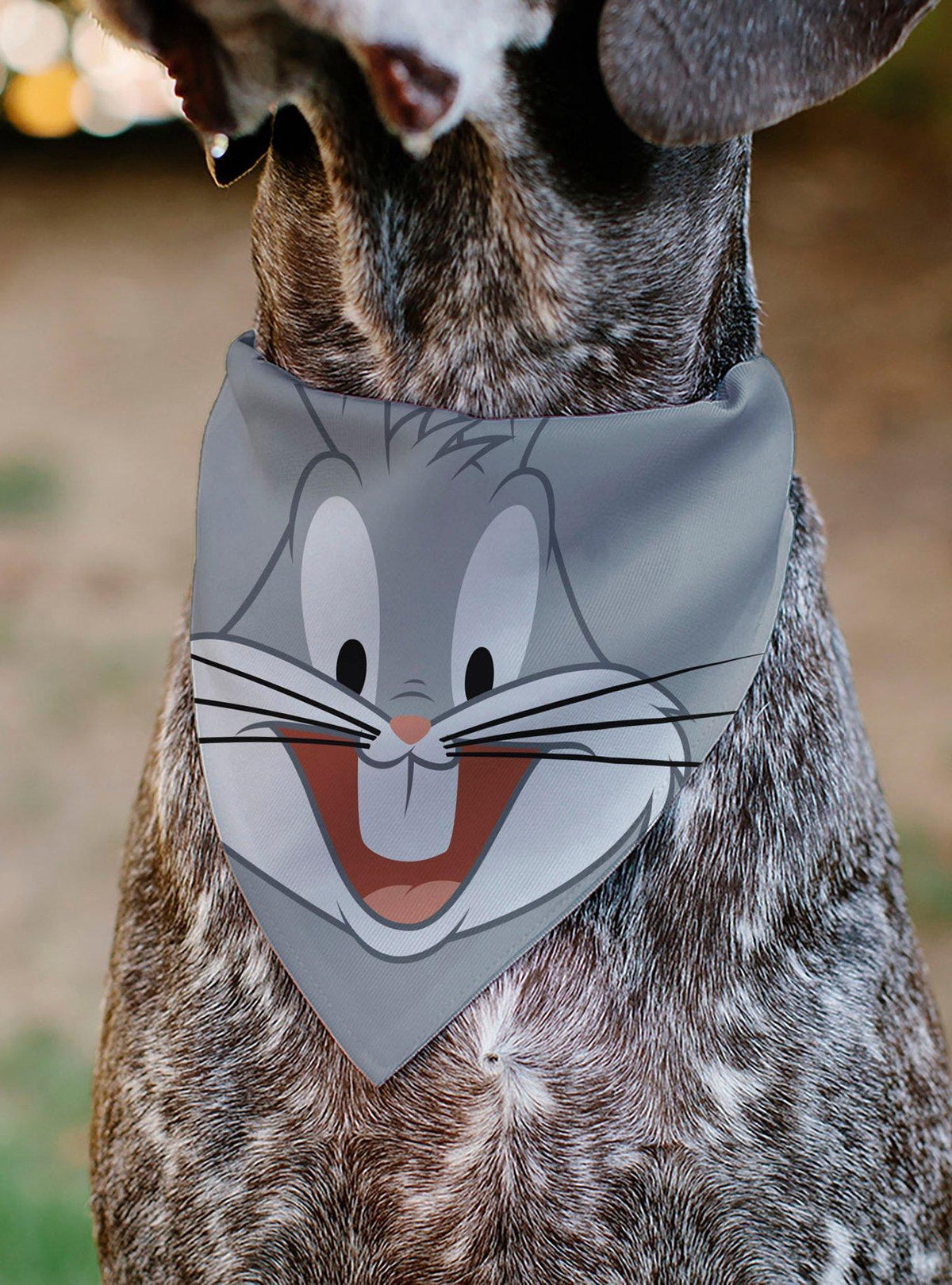 Bandana para mascota Looney Tunes de Bugs Bunny