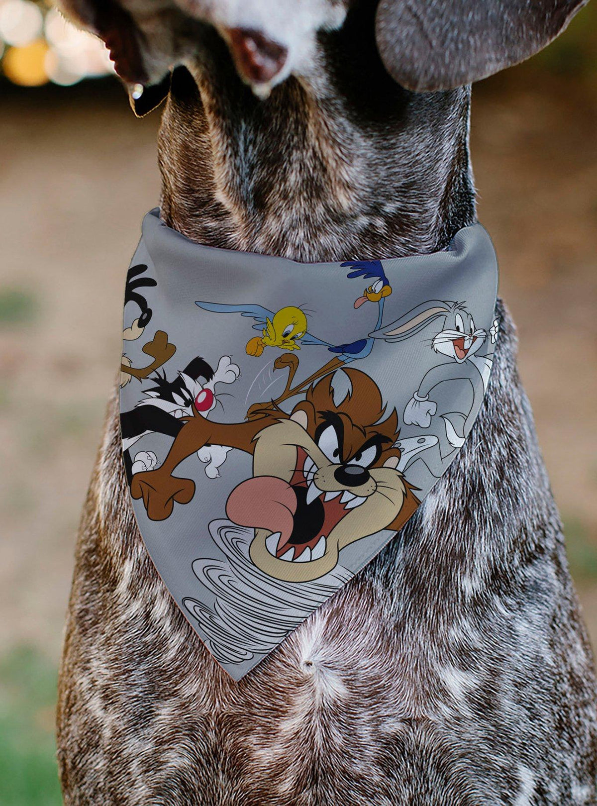 Bandana para mascota Looney Tunes con personajes