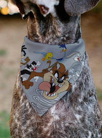 Bandana para mascota Looney Tunes con personajes