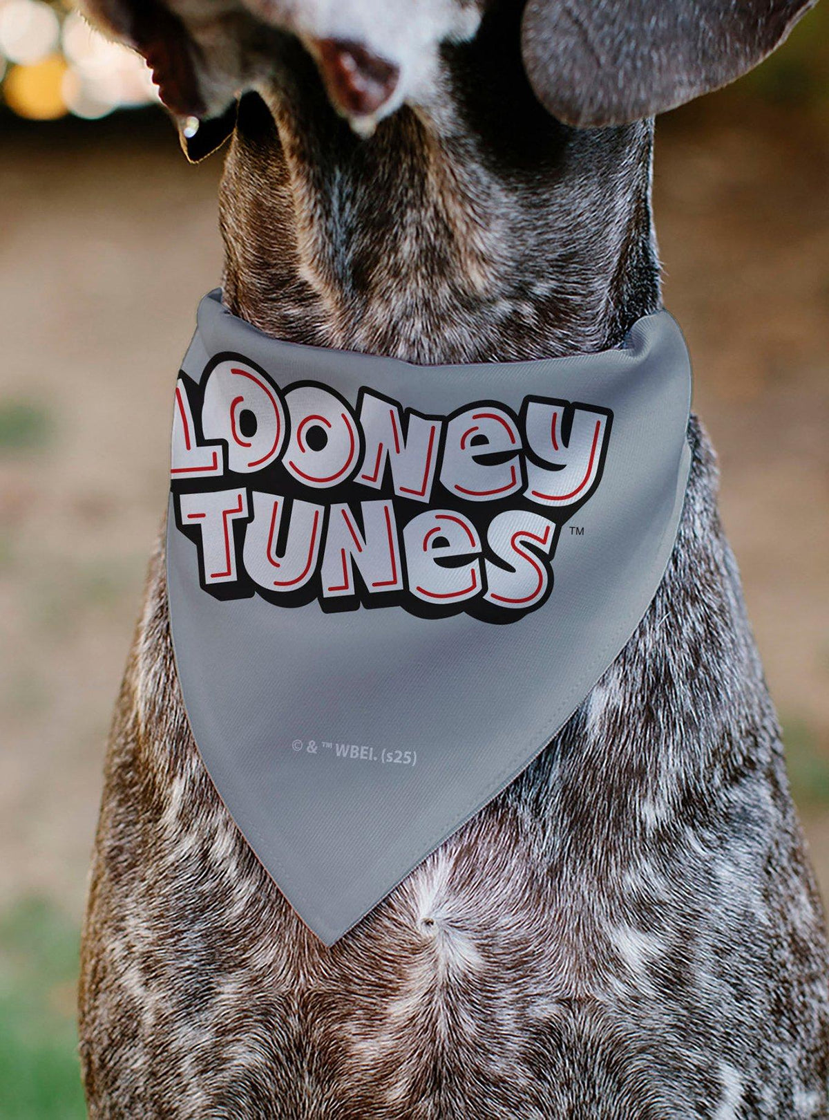 Bandana para mascota Looney Tunes con personajes