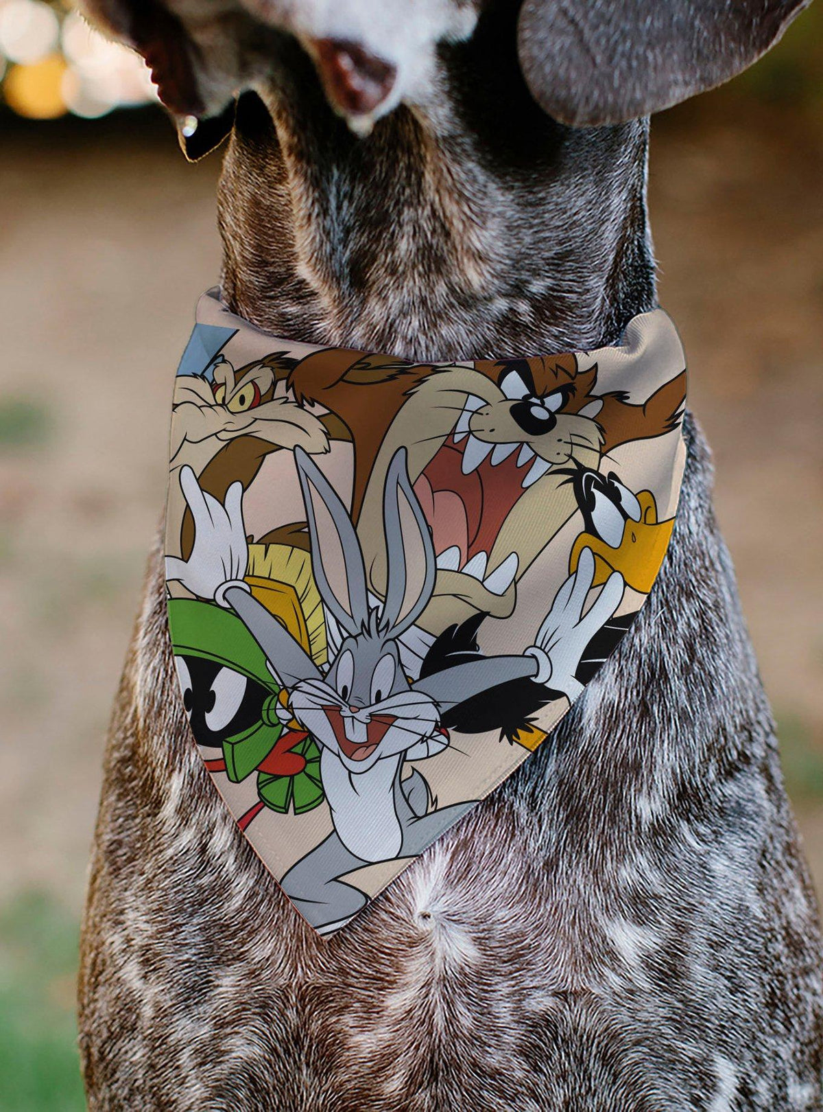 Bandana para mascota Looney Tunes de 6 personajes