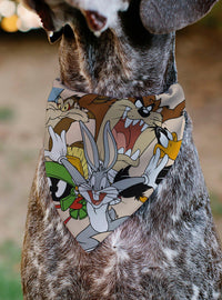 Bandana para mascota Looney Tunes de 6 personajes