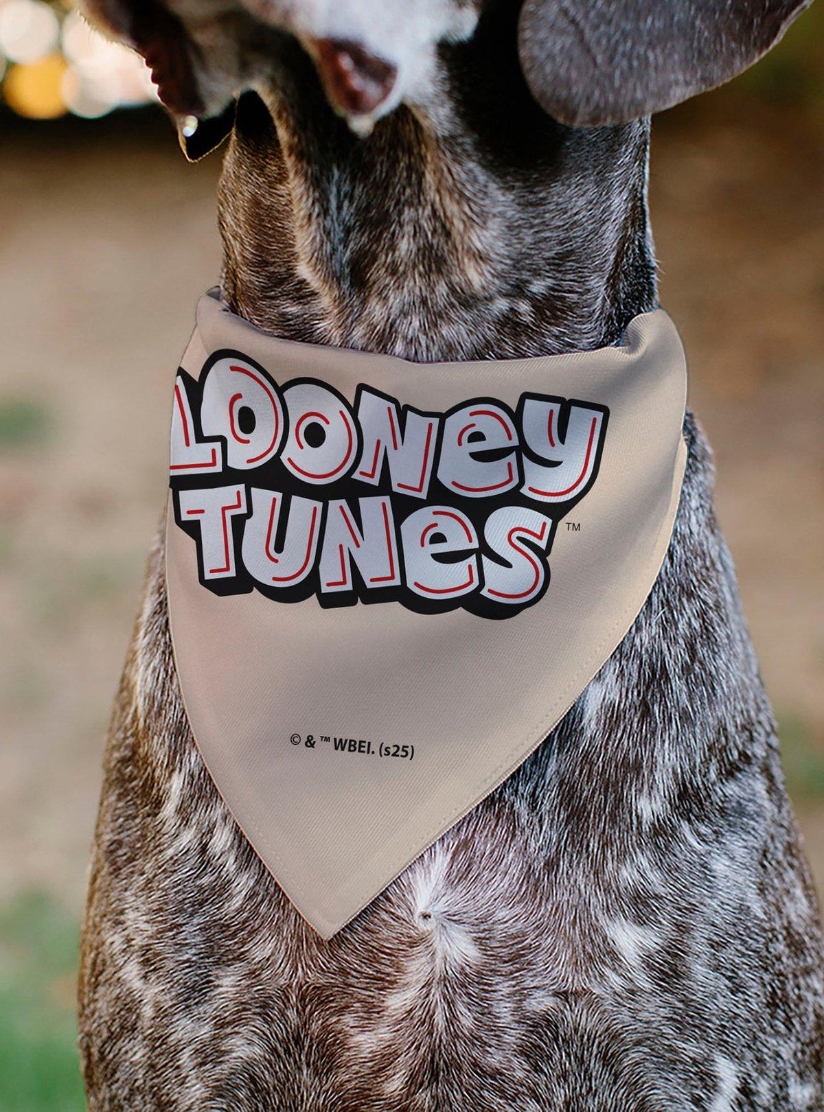 Bandana para mascota Looney Tunes de 6 personajes