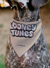 Bandana para mascota Looney Tunes de 6 personajes