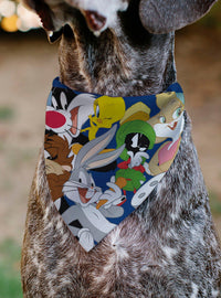 Bandana Looney Tunes para mascota con personajes apilados