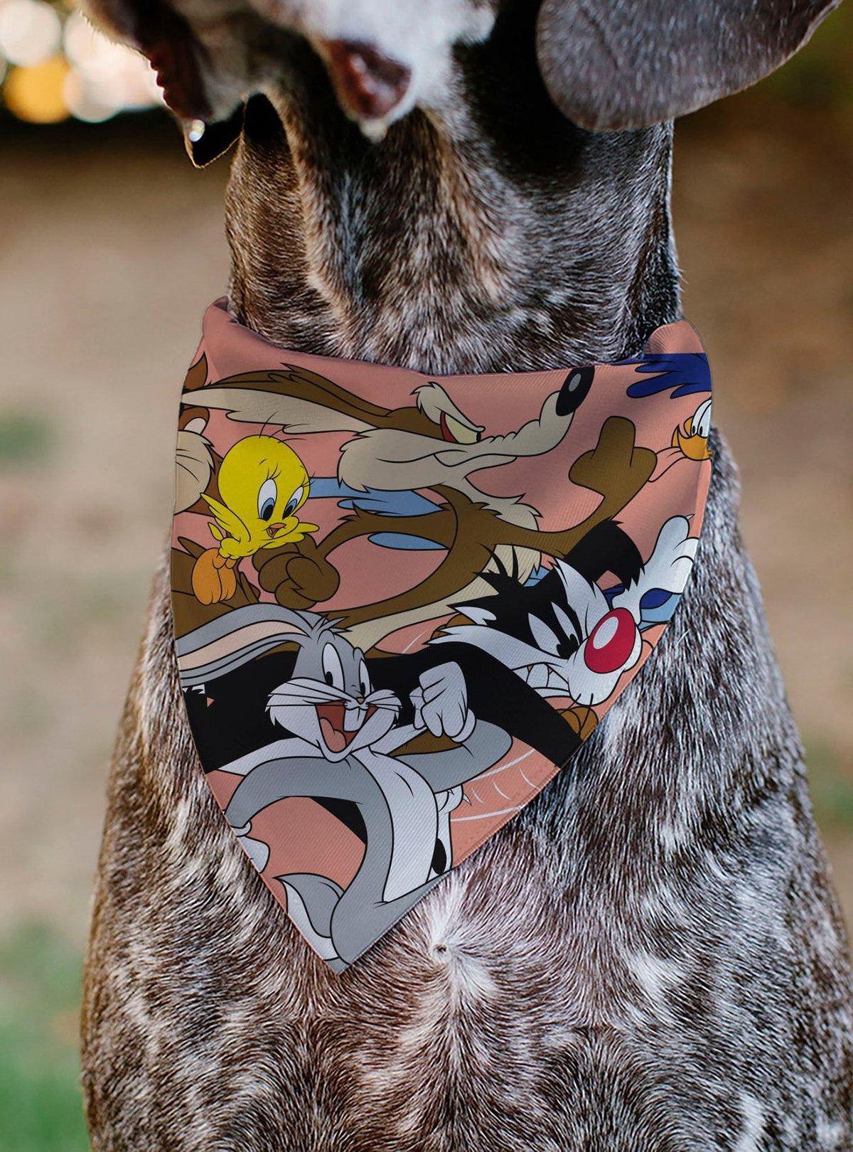 Bandana para mascota Looney Tunes