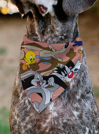 Bandana para mascota Looney Tunes