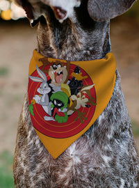 Bandana para mascota Looney Tunes con cinco personajes