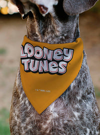 Bandana para mascota Looney Tunes con cinco personajes