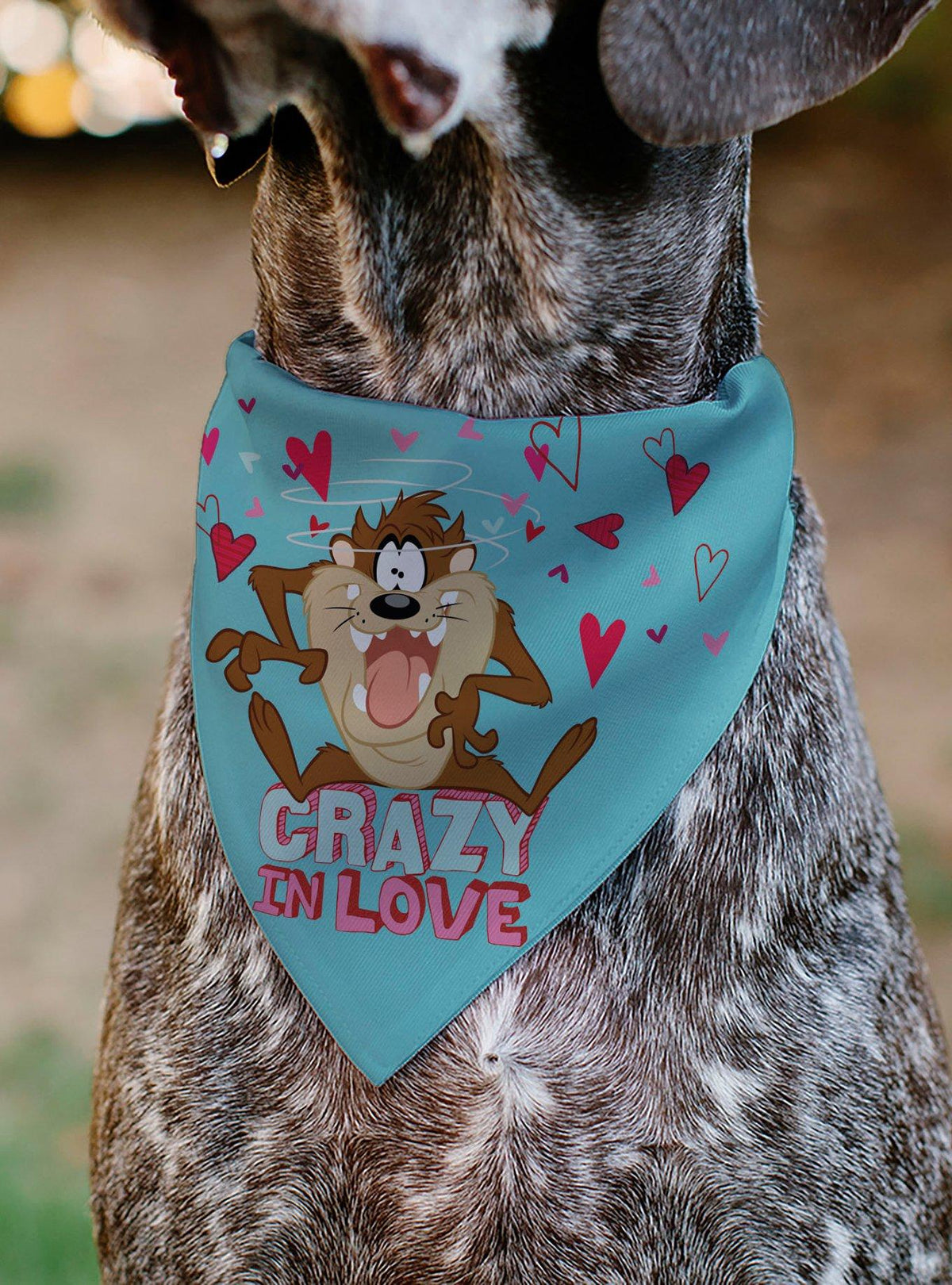 Bandana para collar de mascota Taz de Looney Tunes