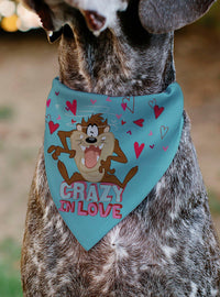 Bandana para collar de mascota Taz de Looney Tunes