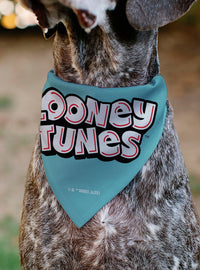 Bandana para collar de mascota Taz de Looney Tunes