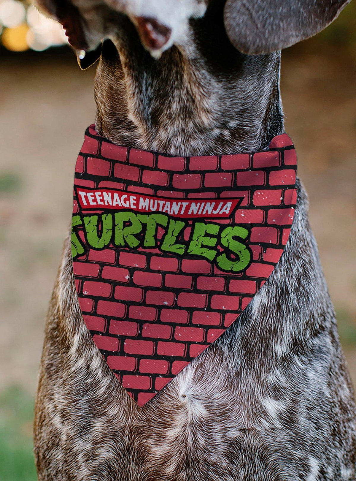 Bandana para mascota Teenage Mutant Ninja Turtles