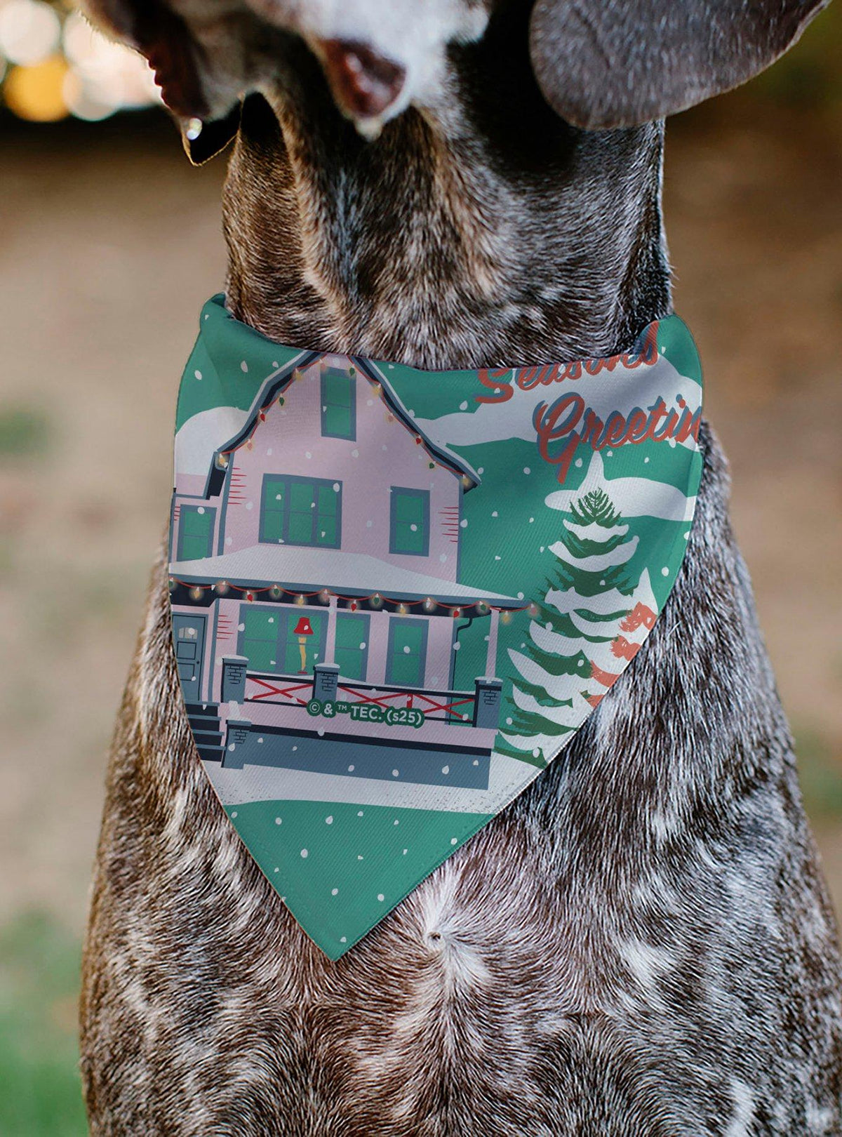 Bandana para mascota A Christmas Story: Ralphie conejo