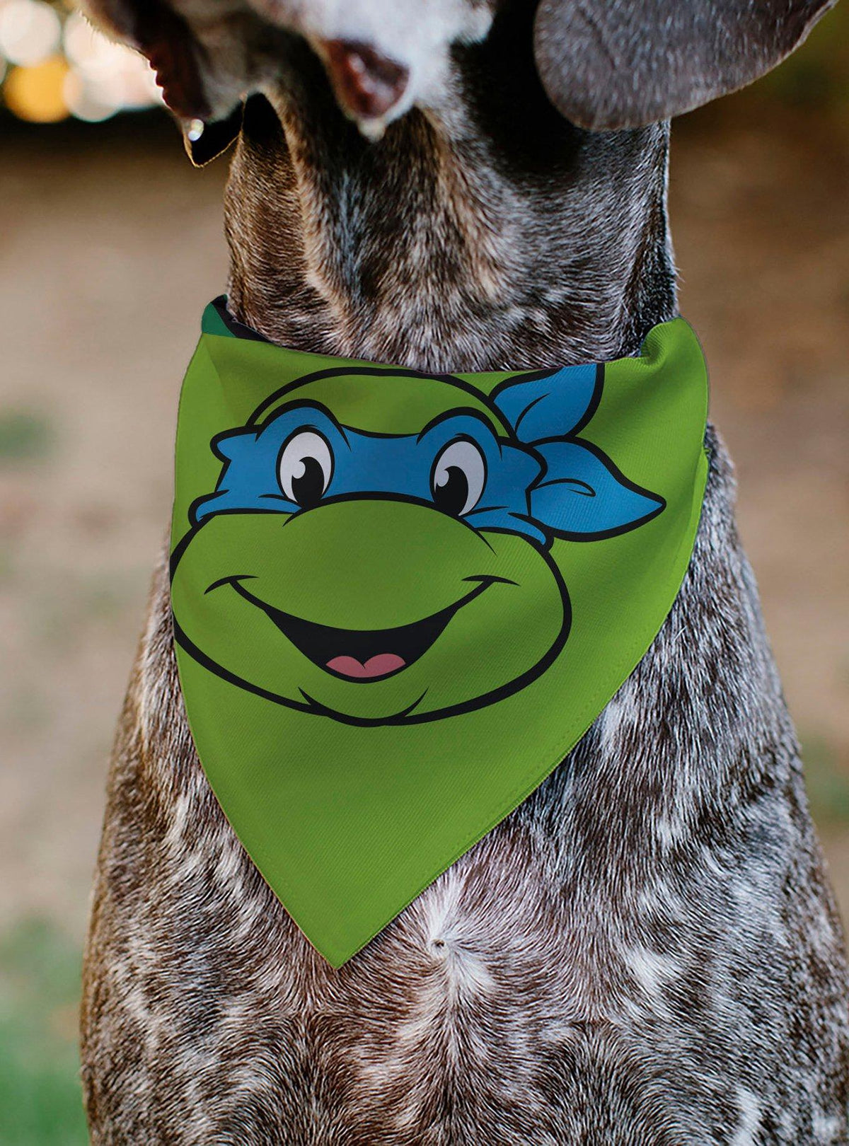 Bandana para mascota Leonardo - Teenage Mutant Ninja Turtles