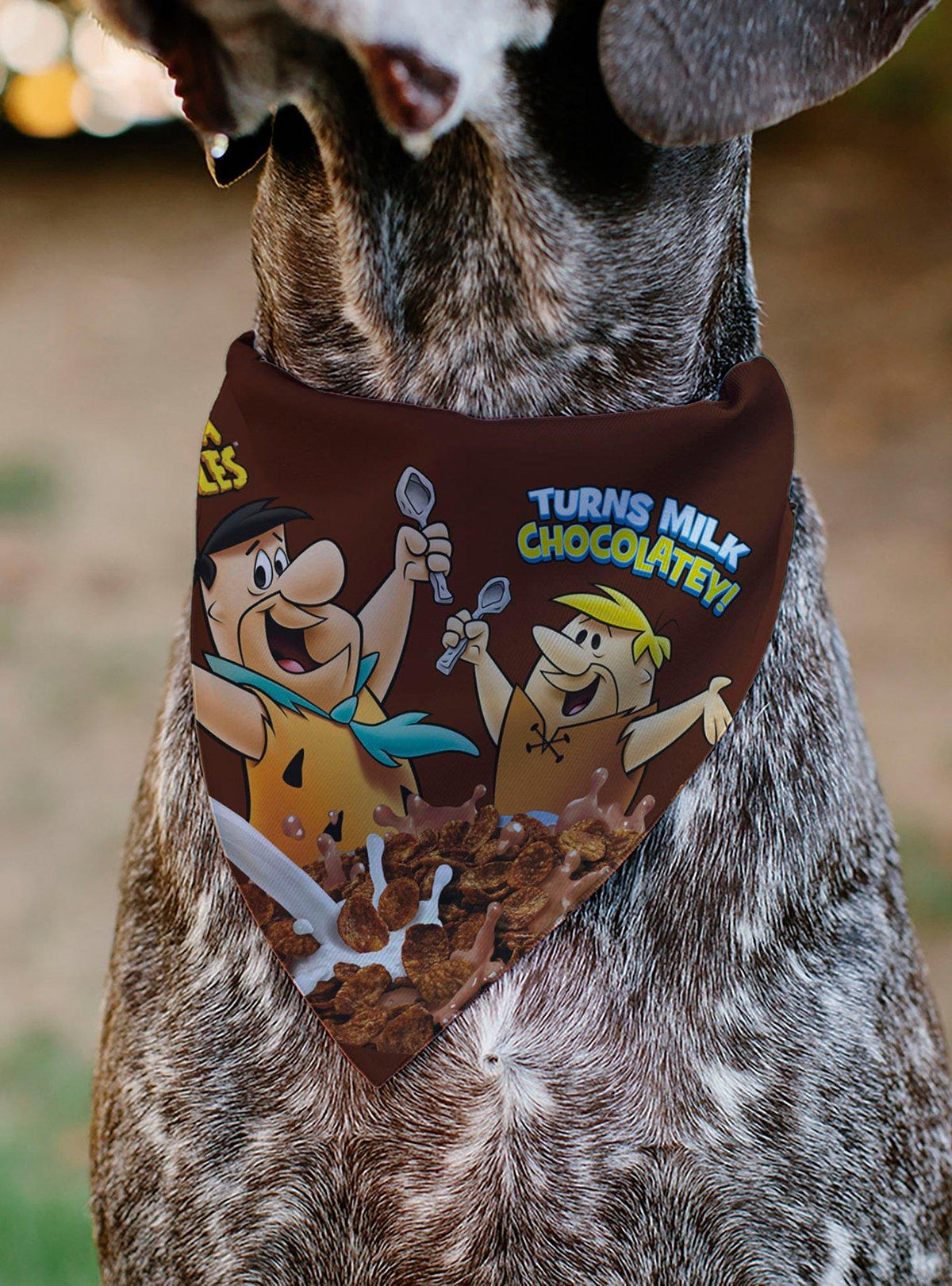 Bandana para mascota The Flintstones: Fred y Barney