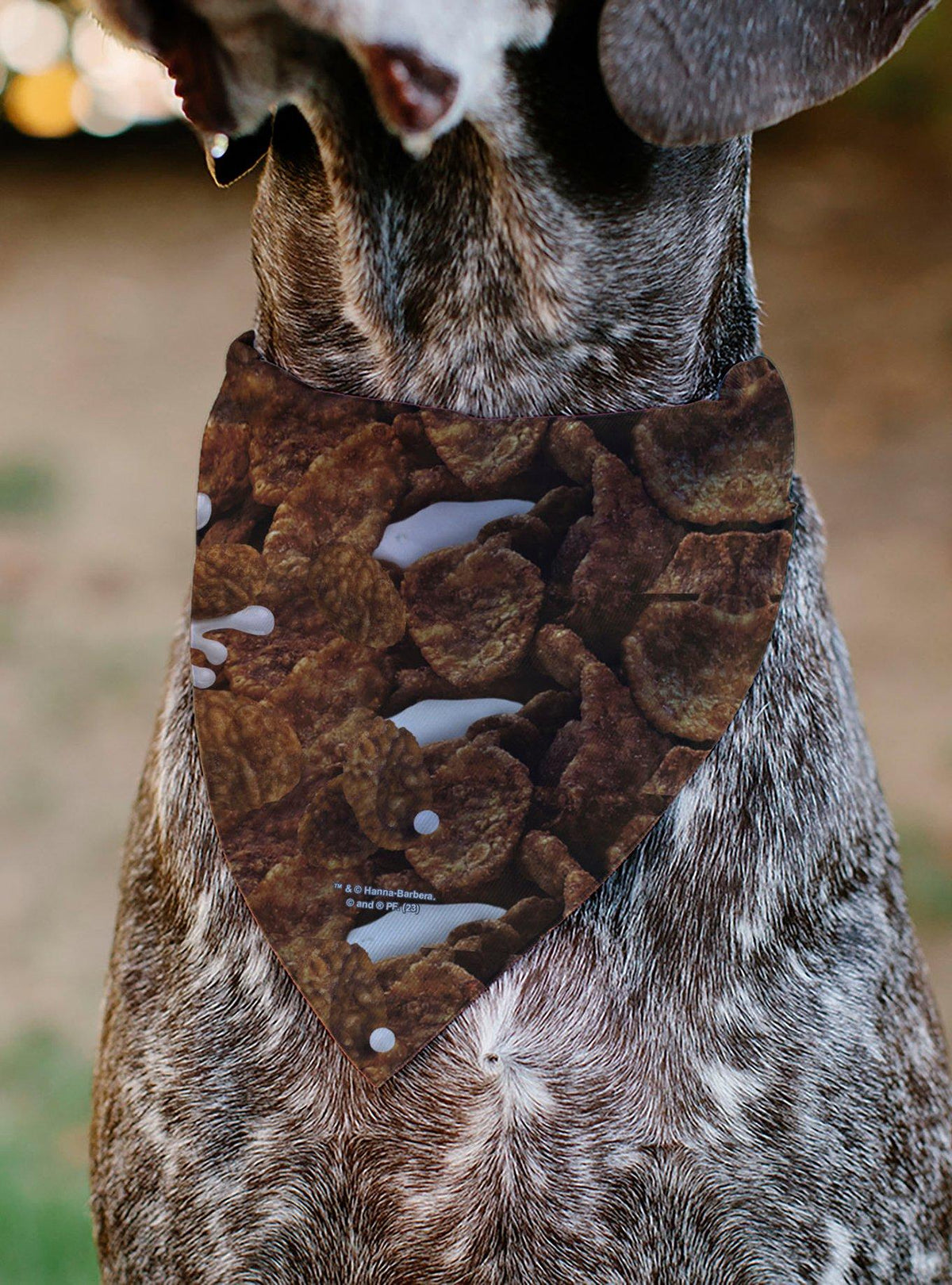 Bandana para mascota The Flintstones: Fred y Barney