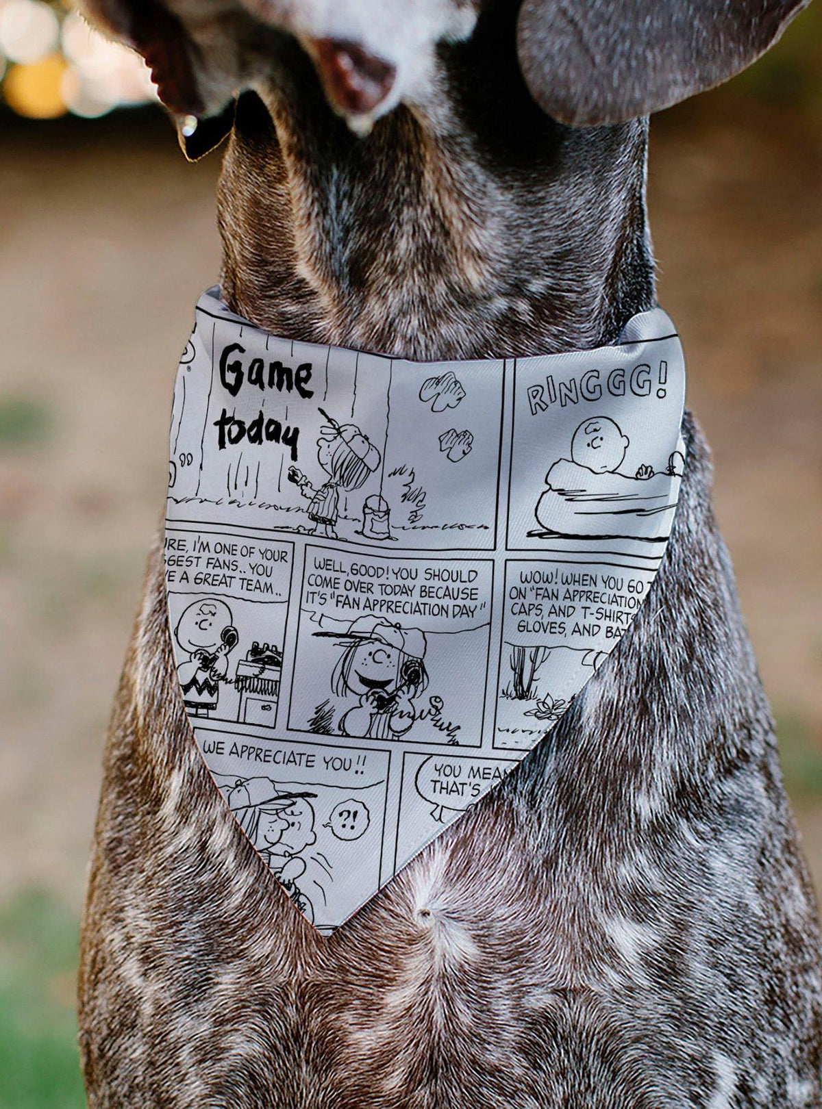 Bandana para mascota Peanuts: Charlie Brown