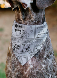 Bandana para mascota Peanuts: Charlie Brown