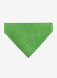 Bandana para collar de mascota Peanuts