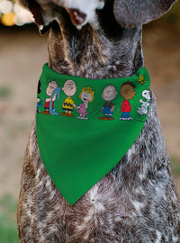 Bandana para collar de mascota Peanuts