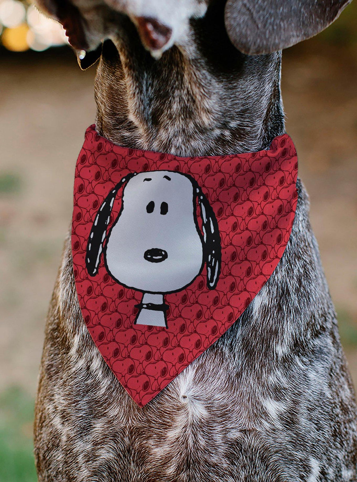 Bandana para mascota Snoopy de Peanuts