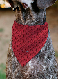Bandana para mascota Snoopy de Peanuts