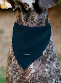 Bandana para mascota Peanuts: Snoopy astronauta