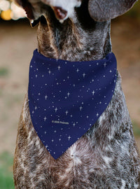 Bandana para mascotas Peanuts: Linus astronauta