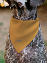 Bandana para mascota Peanuts con Marcie sonriente