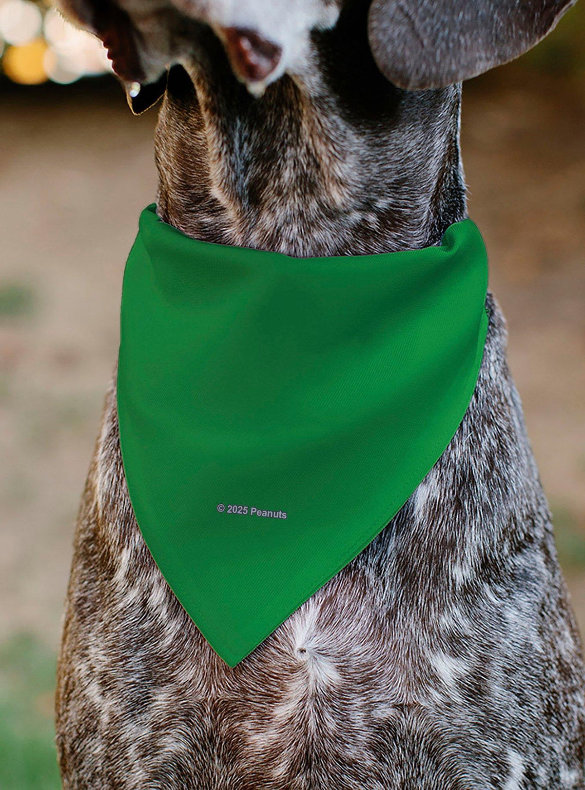 Bandana para mascota de Peppermint Patty - Peanuts