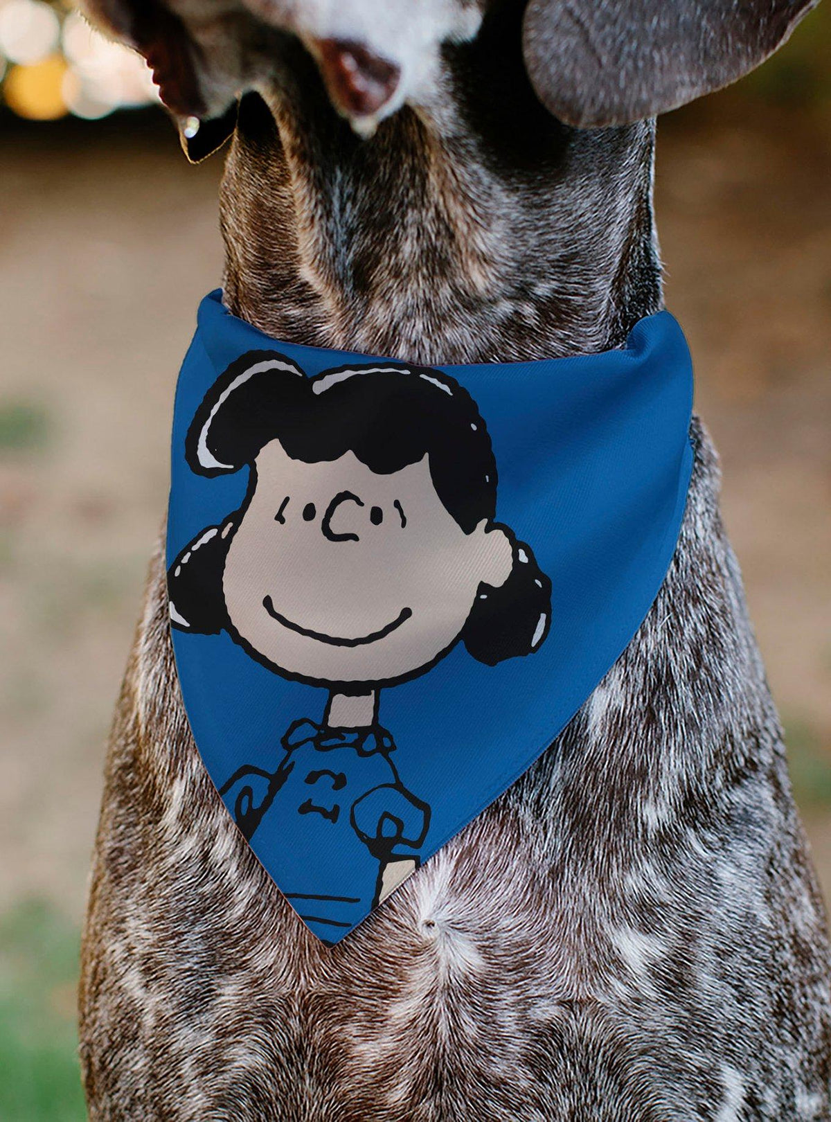 Bandana para mascota Peanuts con Lucy Van Pelt
