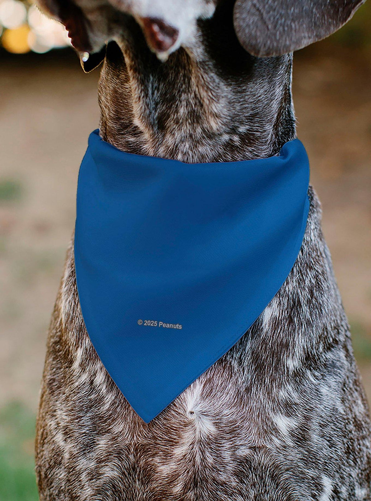 Bandana para mascota Peanuts con Lucy Van Pelt