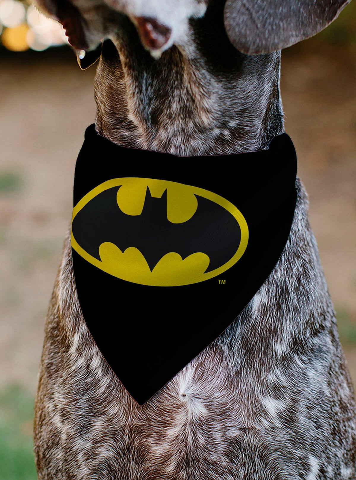 Bandana para mascota Batman con logo del escudo