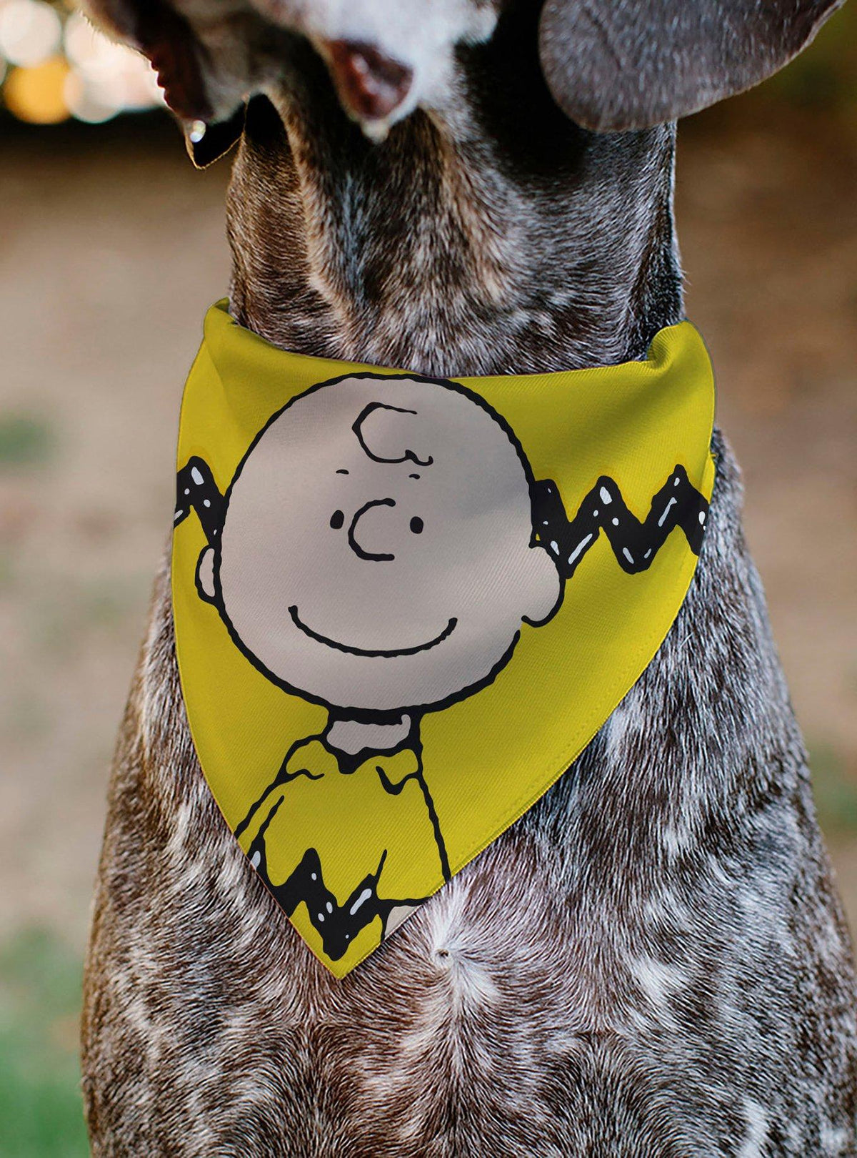 Bandana para mascota Peanuts de Charlie Brown