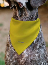 Bandana para mascota Peanuts de Charlie Brown