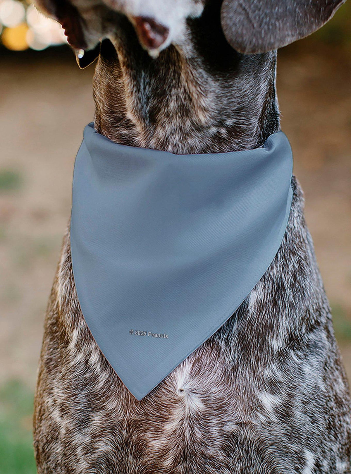 Bandana para mascota Snoopy vaquero