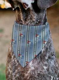 Bandana deslizable para mascota Snoopy: América e íconos
