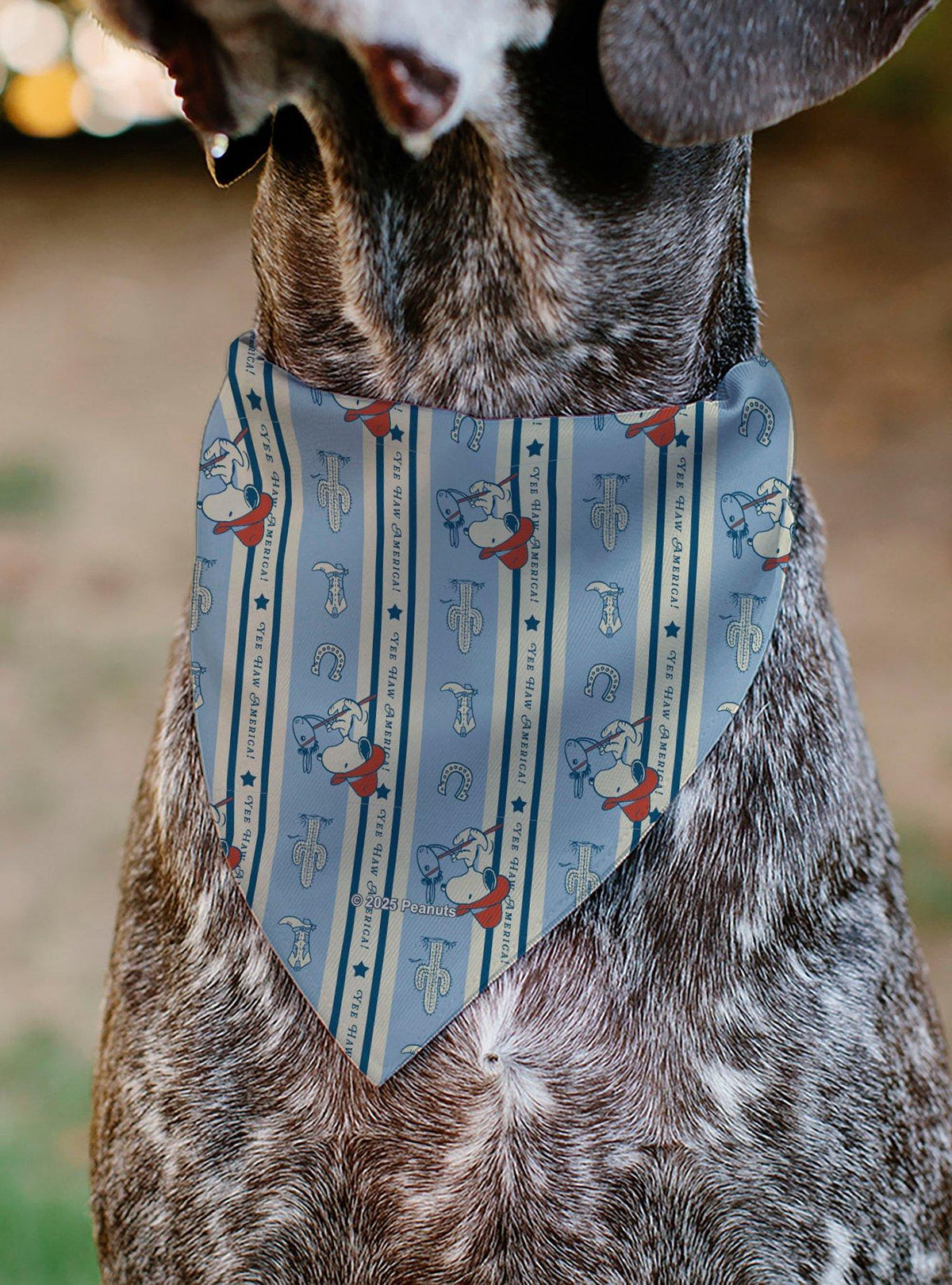 Bandana deslizable para mascota Snoopy: América e íconos