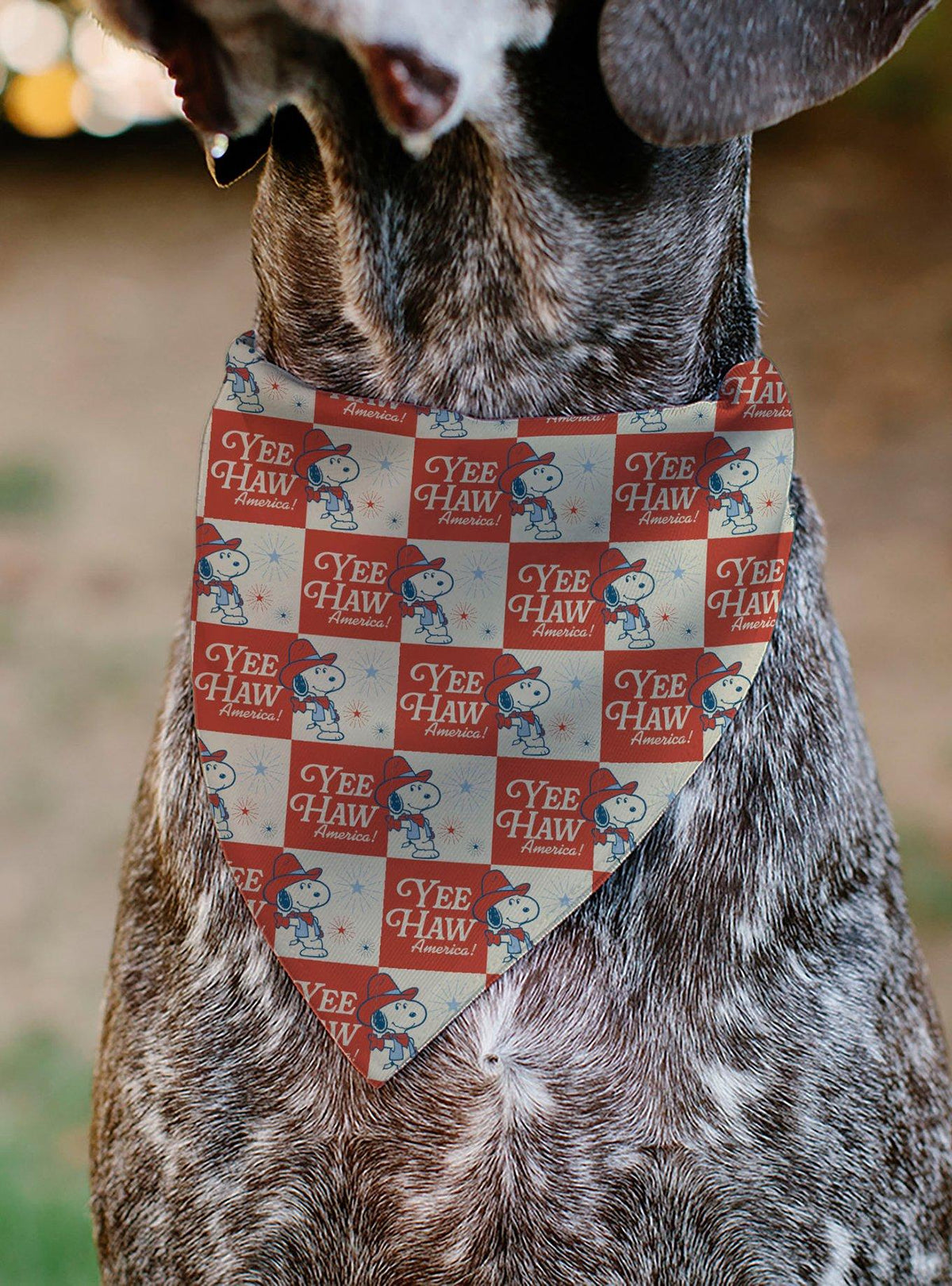 Bandana para mascota Peanuts Snoopy Yee Haw America