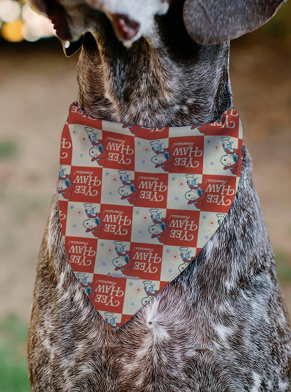 Bandana para mascota Peanuts Snoopy Yee Haw America