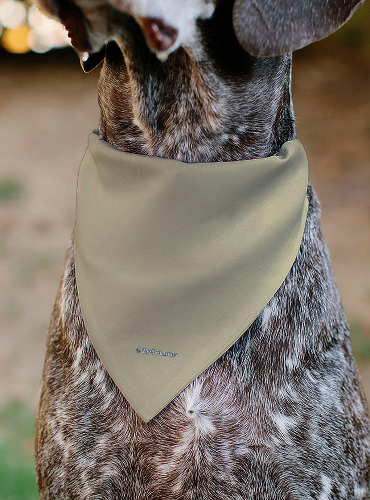 Bandana para mascota Snoopy de Peanuts, Rodeo Club