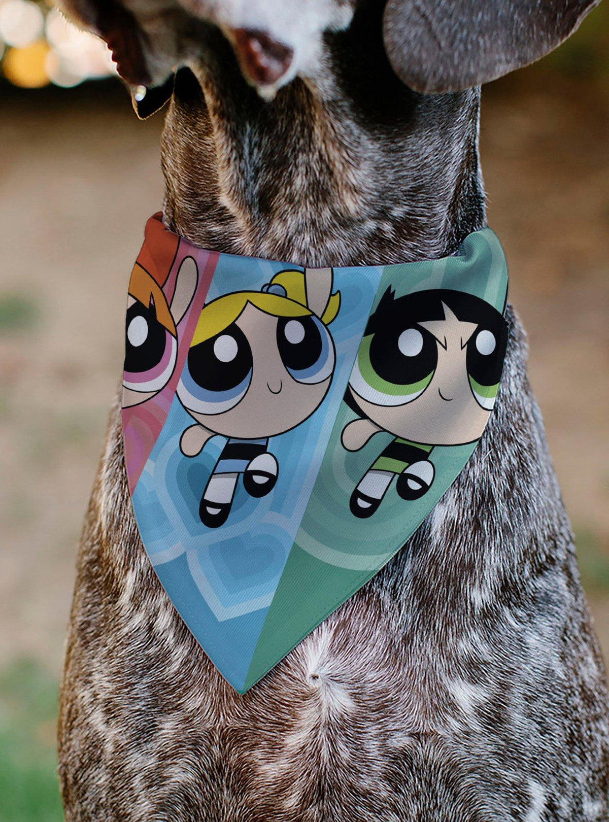 Bandana para mascota Las Chicas Superpoderosas en vuelo