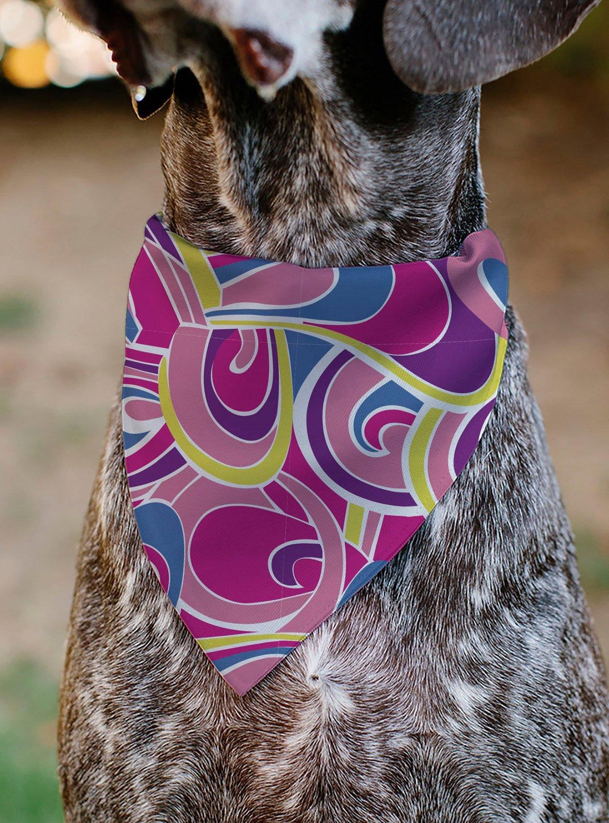 Bandana Barbie multicolor para mascota