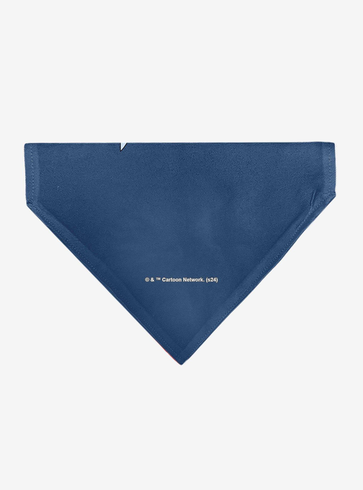 Bandana para mascota Rick and Morty con brazos cruzados