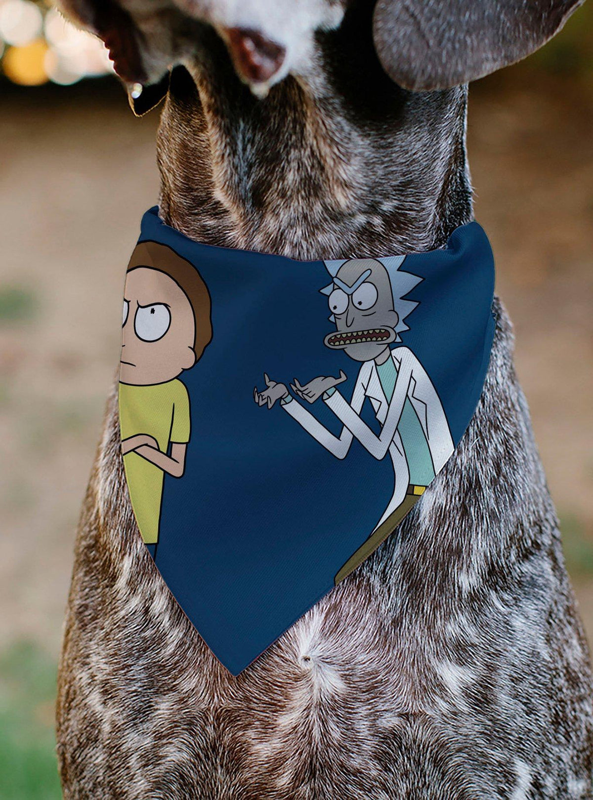Bandana para mascota Rick and Morty con brazos cruzados